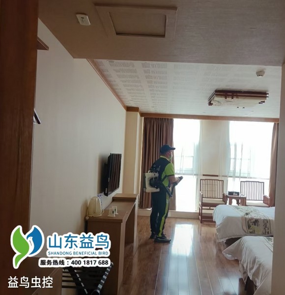临沂精品、商务酒店 山东益鸟虫控无损虫控方案落地专题