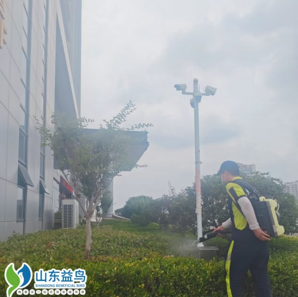 临沂公共环境消毒服务白皮书 | 山东益鸟虫控全域保障方案