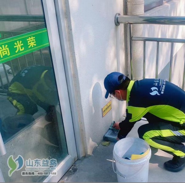 山东益鸟虫控餐饮与食品行业虫害防控服务介绍