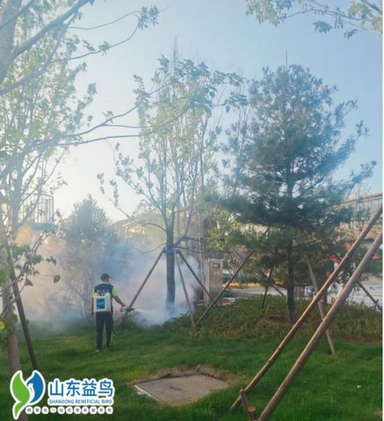 临沂文旅景区与古建筑白蚁防治服务白皮书 | 山东益鸟虫控全域解决方案